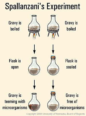 Lazzaro Spallanzani challenged Needham's broth experiment