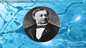 Theodor Schwann