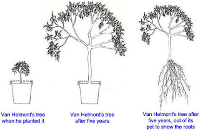 Jan Baptist van Helmont