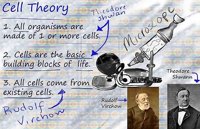 Rudolf Virchow