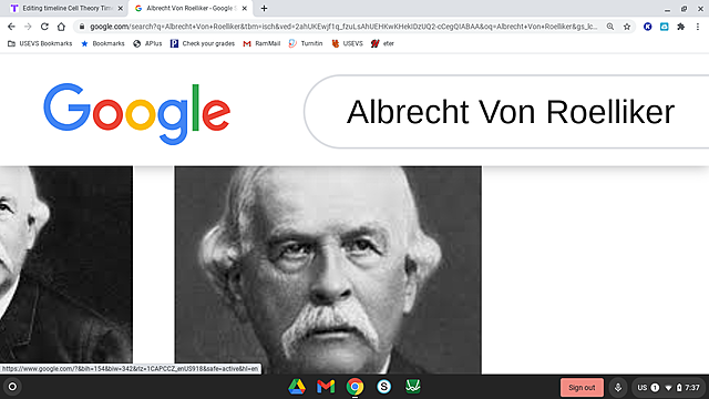 Albrecht Von Roelliker