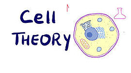 Timeline: Cell Theory Timeline