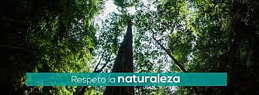 Escuela nueva XIX-XX