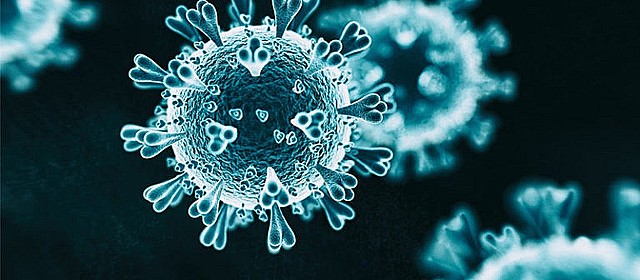 Widespread Emergency Adoption of Remote Learning