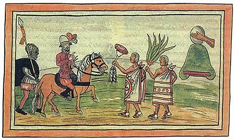 Estudio de la flora y la fauna de la Nueva España