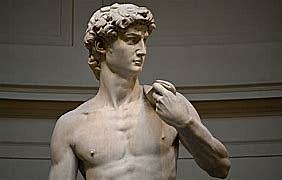 Michelangelo sculpted the statue of David