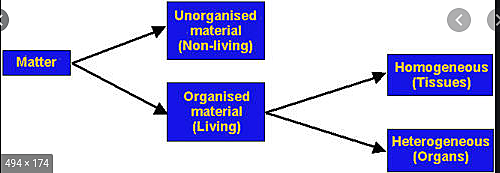 Aristotle begins to establish principles of generation.