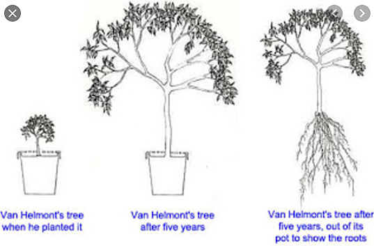 Jan Baptist van Helmont made an early advancement in discovering photosynthesis.