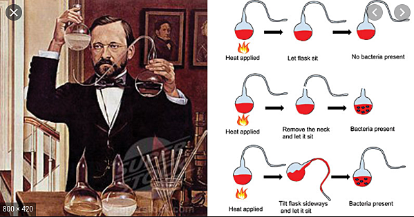 Louis Pasteur sets out to officially disprove spontaneous generation.