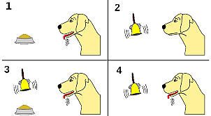 Reflejo condicionado de Ivan Pavlov