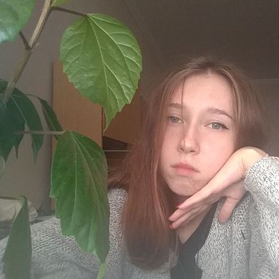 Timeline: Моє навчання