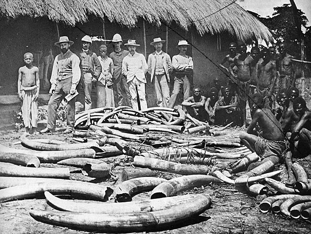 Kongo wird belgische Kolonie