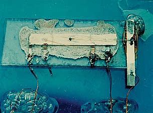 CREACIÓN DEL PRIMER CHIP