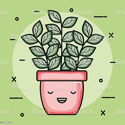 Timeline: La meva família.