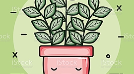 Timeline: La meva família.