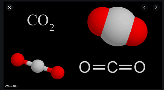 Jan Baptist van Helmont
