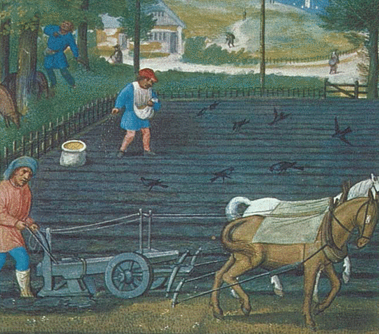 Medieval Agriculture Revolution