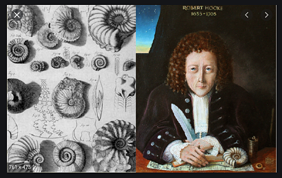 Robert Hooke