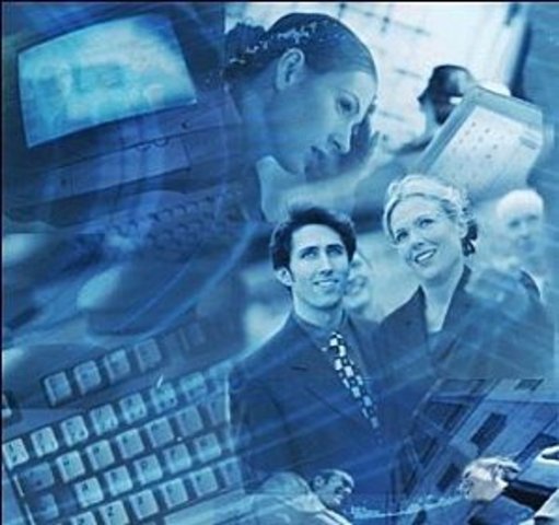 la informática se introduce en las organizaciones