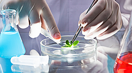 Timeline: Historia de la Biotecnología