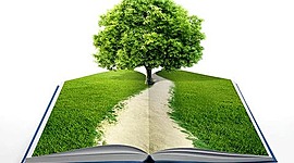 Timeline: Antecedentes históricos de la educación ambiental.