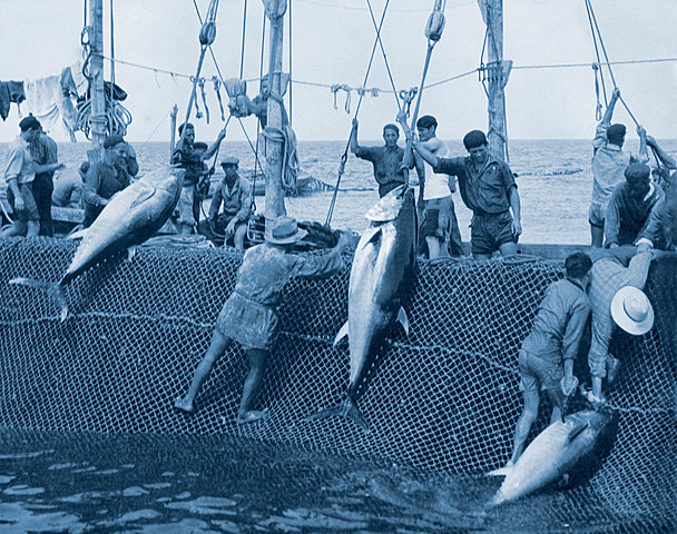 La Almadraba del Racó de l’Oix