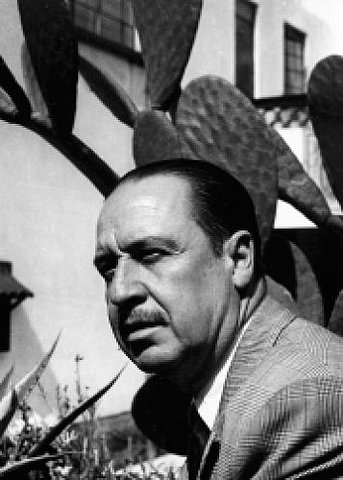 Se llevaron el cañón para Bachimba