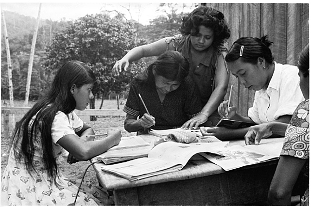 Codigo de la Educativo