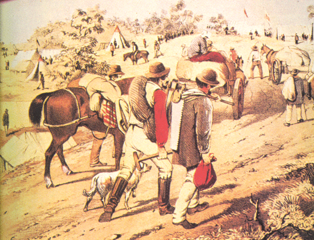 The affects of the Gold Rush on Melbourne