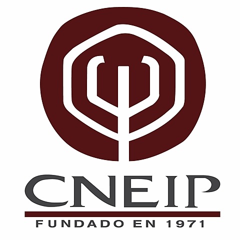 Consejo Nacional para la Enseñanza e Investigación de la Psicología