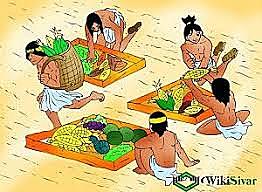 Concepto de Antropología Económica