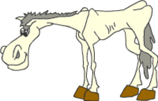 Busca un nombre para su caballo