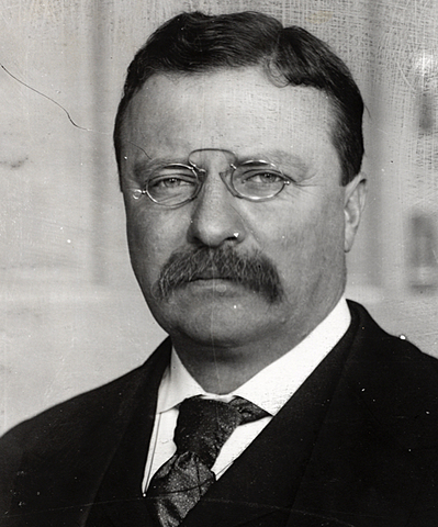 Theodore Roosevelt Becomes President