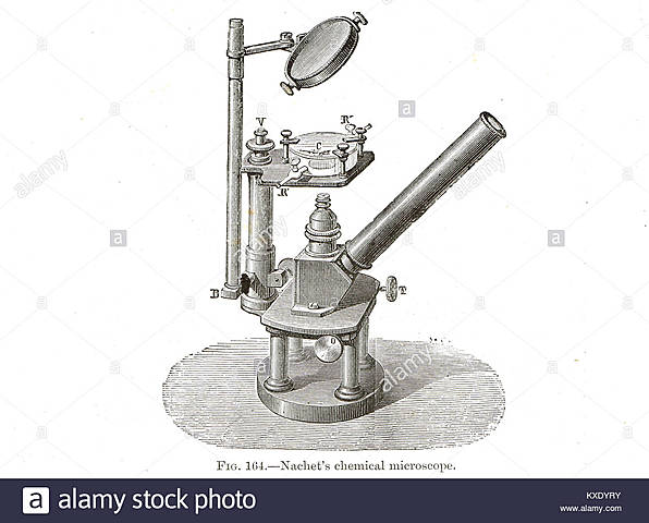 Microscopio Invertido