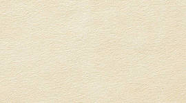 Timeline: Shangperioden