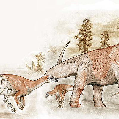 Timeline: Línea del tiempo.   [Todas las fechas se refieren a Ma (millones de años) exceptuando la aparición del Homo Sapiens hace 300.000 años]