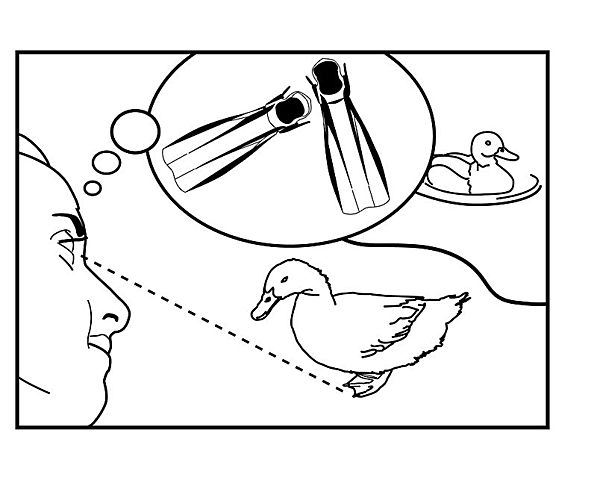 Período Metódico (entre los años 1600 a 1800)