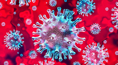 Koronabirusa Euskadin sartu