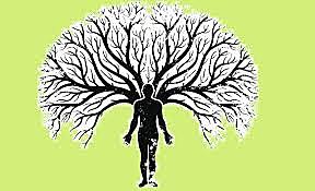 Período de la Didáctica Tecnicista