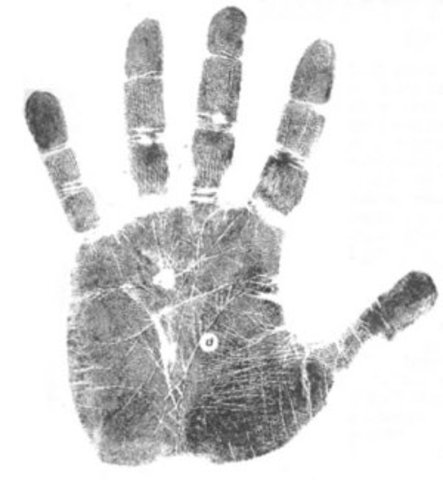 Los dedos de la mano