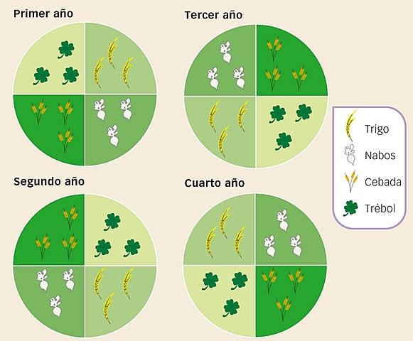 La revolución agrícola
