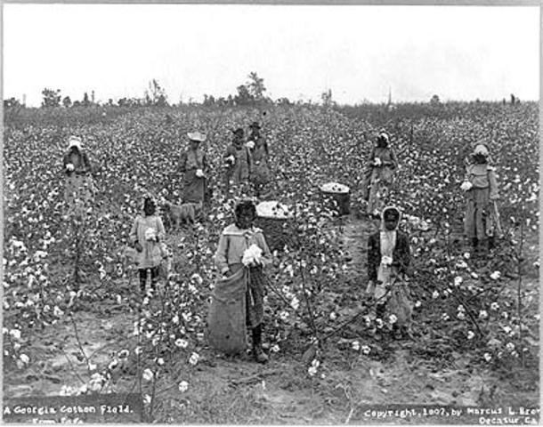 Georgia Rice Plantation Slavery - mid-eighteenth century