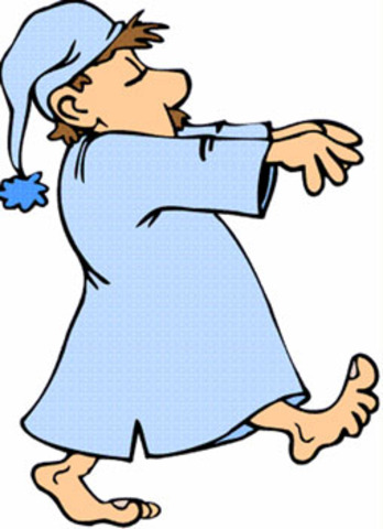 el quijote sonambulo