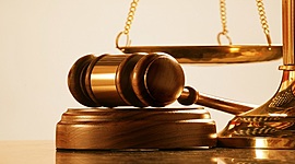 Timeline: Proceso legislativo