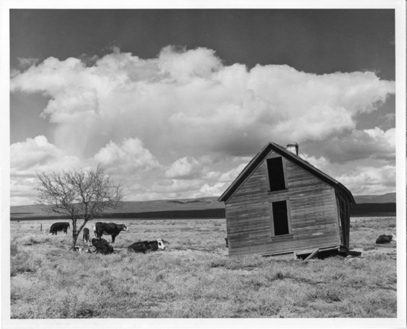 Abandoned farm near Quincy, Wash.