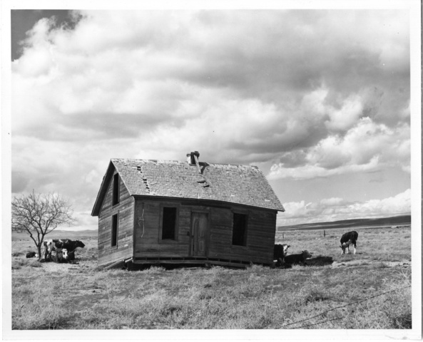 Abandoned farm near Quincy, Wash.