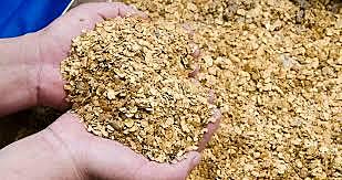 Participación por municipios en la producción del oro en el año 2017