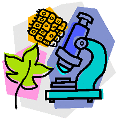 Timeline: L'histoire du microscope et de la théorie cellulaire