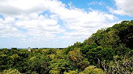 Timeline: La conquista de las Montañas