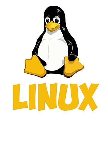 LINUX